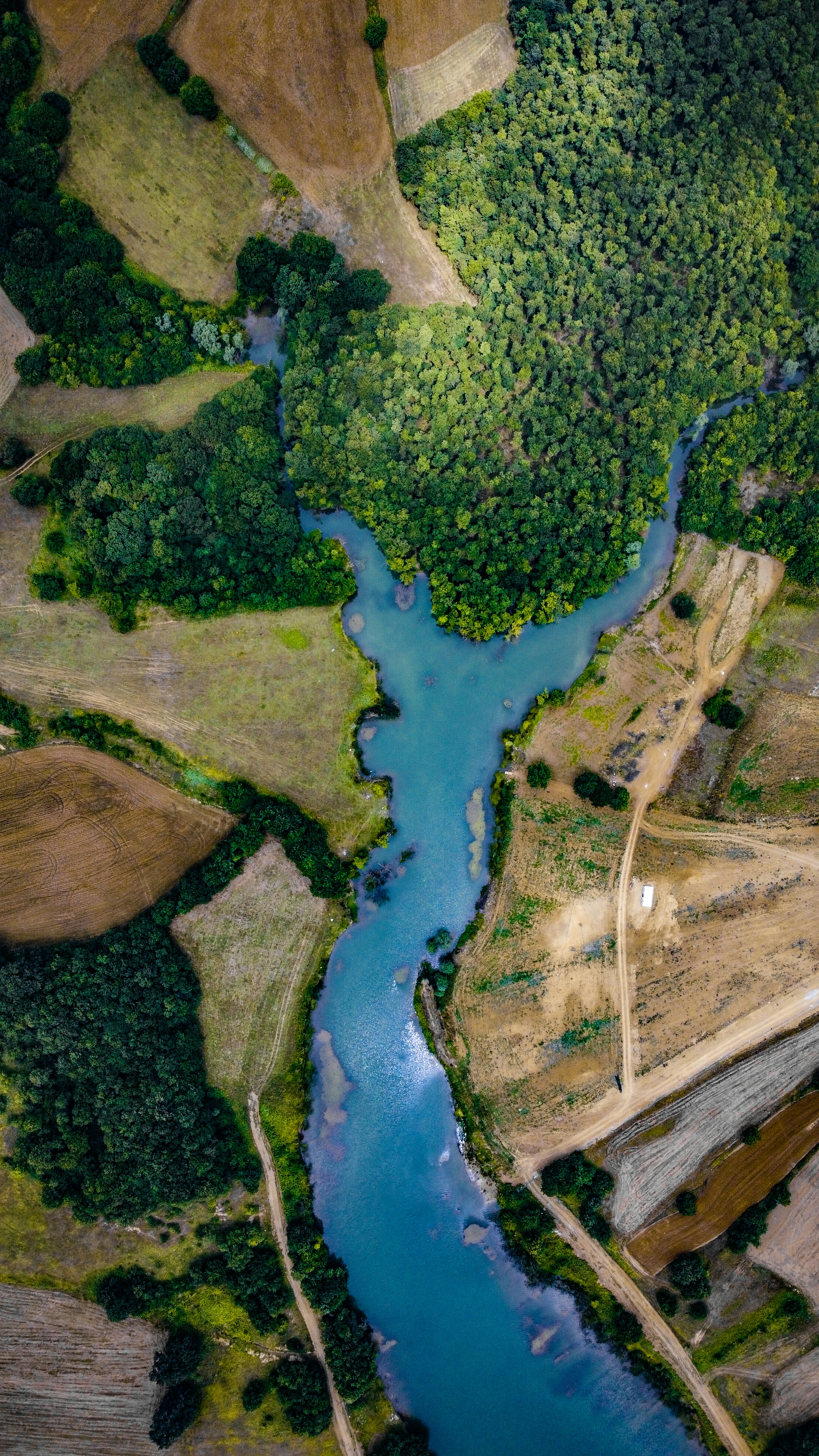 A river connects woodland and cultivated land, seen from above